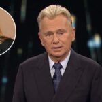 Sherrill Sajak: The Private Life of Pat Sajak's First Wife